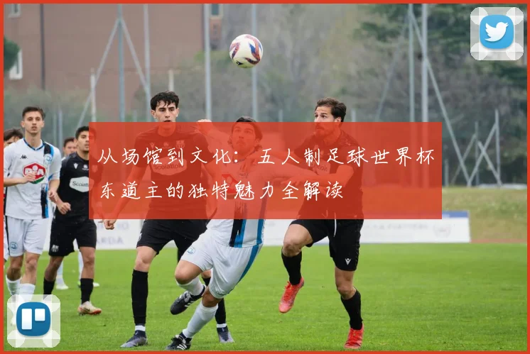 从场馆到文化：五人制足球世界杯东道主的独特魅力全解读