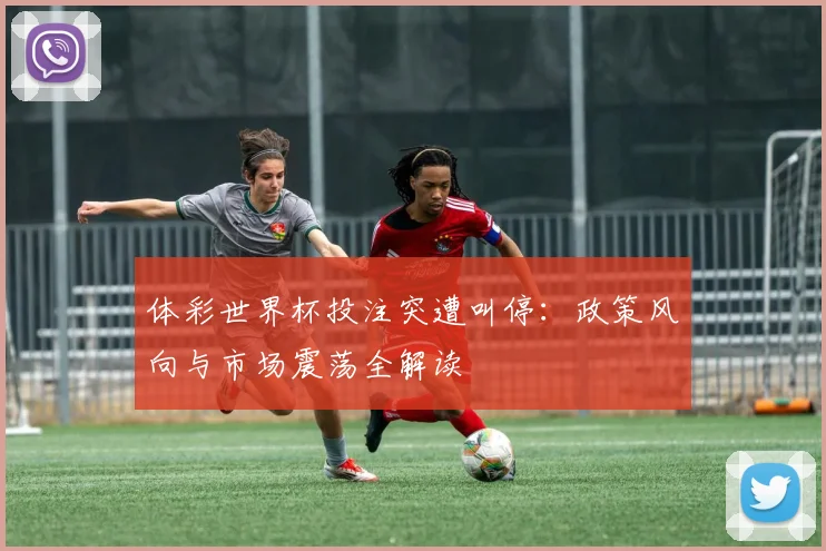 体彩世界杯投注突遭叫停：政策风向与市场震荡全解读